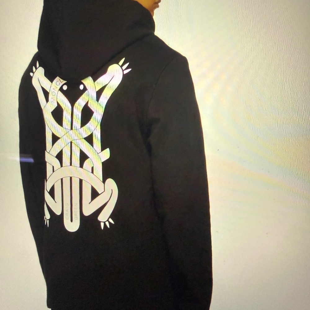 Moncler hoodie